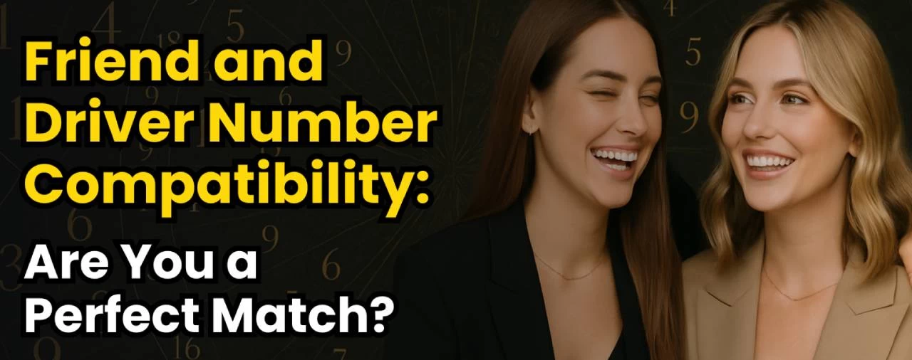 Friend and Driver Number Compatibility: Are You a Perfect Match?