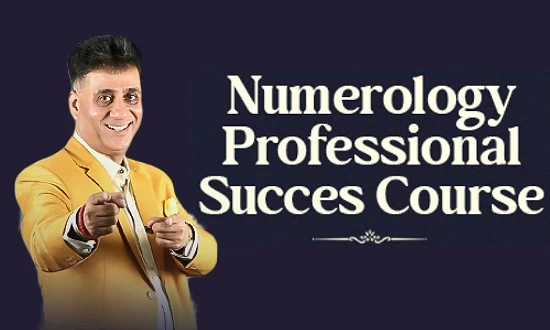 Numerology Professional Success Course